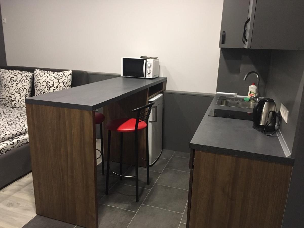Centre In Uzhgorod Apartment Bagian luar foto